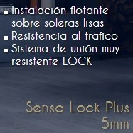 senso lock plus